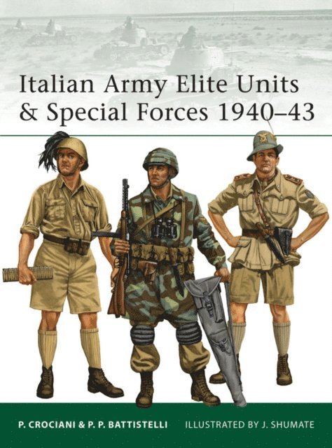 Pier Paolo Battistelli - Italian Army Elite Units & Special Forces 1940–43, E-bok