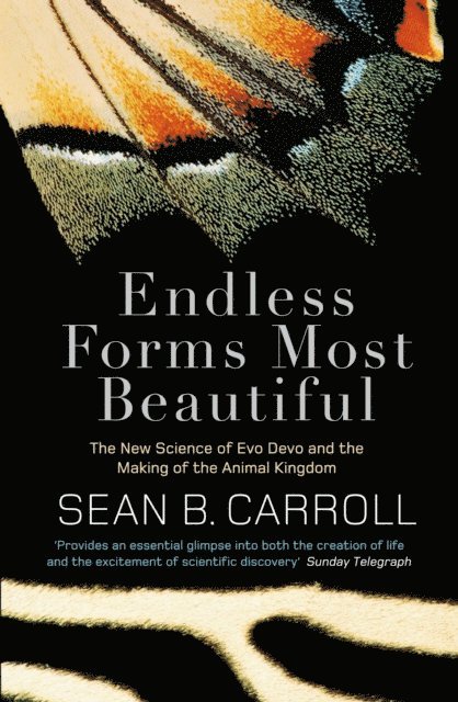 Sean B. Carroll - Endless Forms Most Beautiful, E-bok