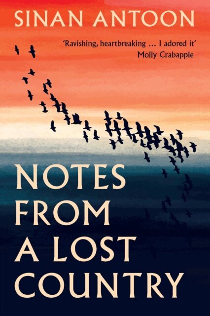 Sinan Antoon - Notes from a Lost Country, E-bok. Tillgänglighet: Lägg i varukorg