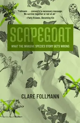 Scapegoat