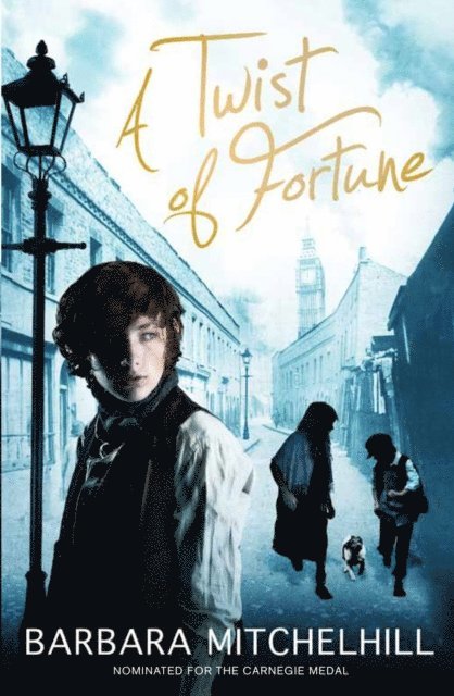 Barbara Mitchelhill - Twist of Fortune, E-bok
