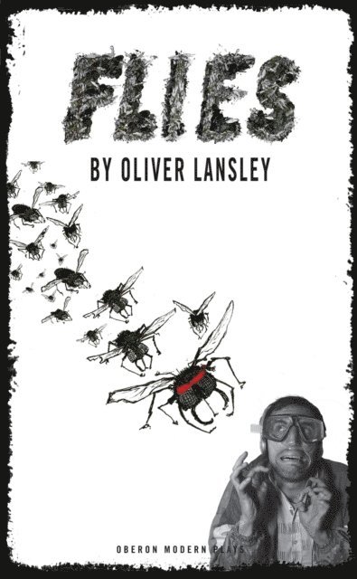 Oliver Lansley - Flies, E-bok