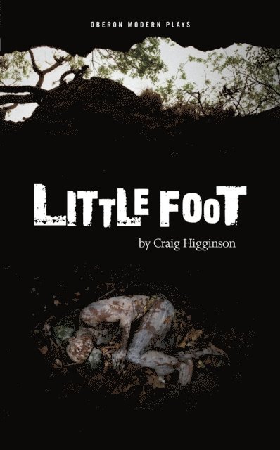 Craig Higginson - Little Foot, E-bok