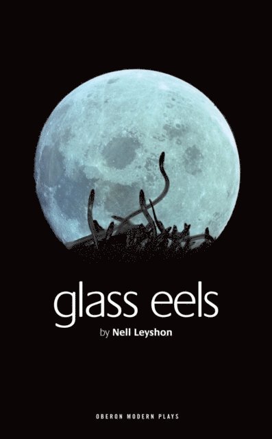 Nell Leyshon - Glass Eels, E-bok