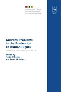 Current Problems in the Protection of Human Rights