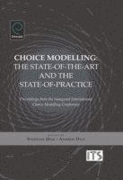 Andrew Daly, Stephane Hess - Choice Modelling, E-bok