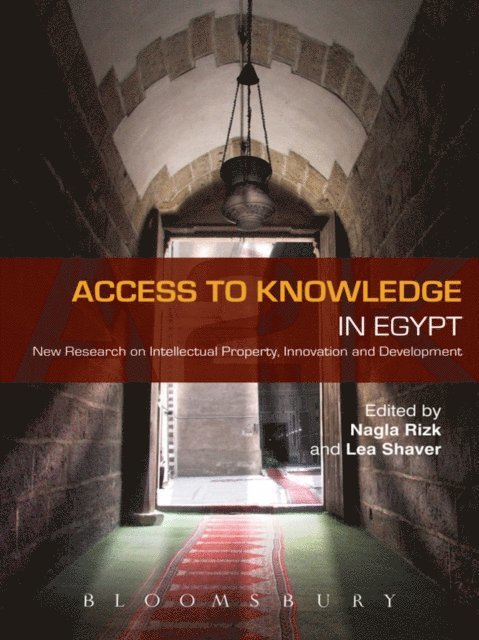 Lea Shaver, Nagla Rizk - Access to Knowledge in Egypt, E-bok