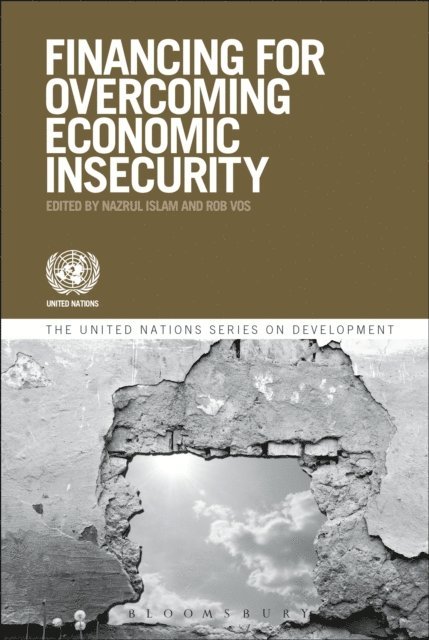 Rob Vos, United Nations Publications, Nazrul Islam - Financing For Overcoming Economic Insecurity, E-bok