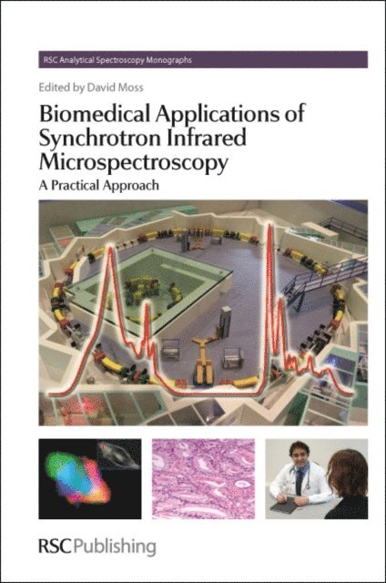 David Moss - Biomedical Applications of Synchrotron Infrared Microspectroscopy, E-bok