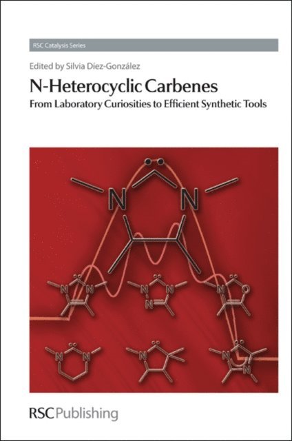 Silvia Diez-Gonzalez - N-Heterocyclic Carbenes, E-bok