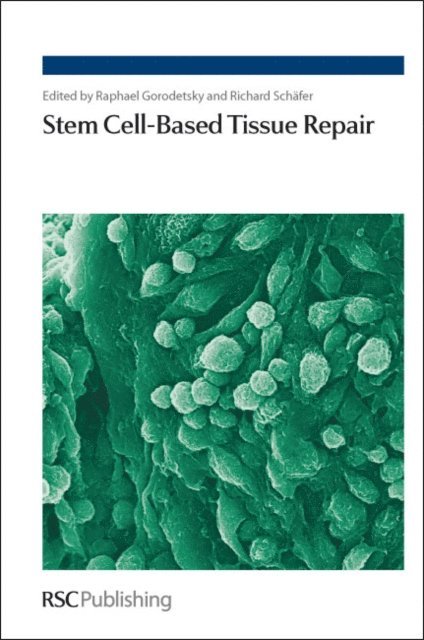 Richard Schafer, Raphael Gorodetsky - Stem Cell-Based Tissue Repair, E-bok