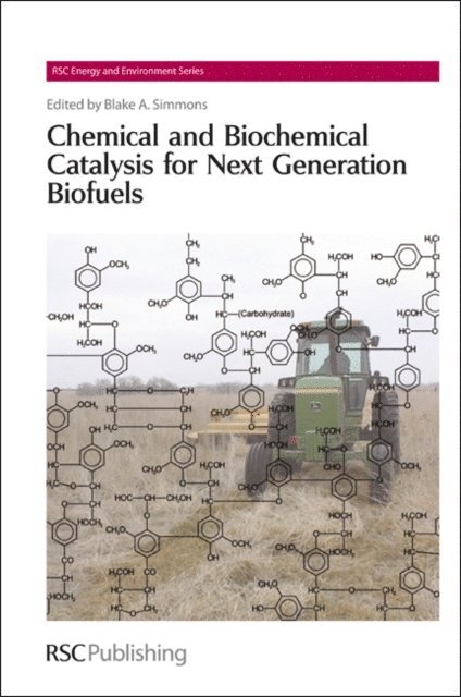Blake A Simmons - Chemical and Biochemical Catalysis for Next Generation Biofuels, E-bok