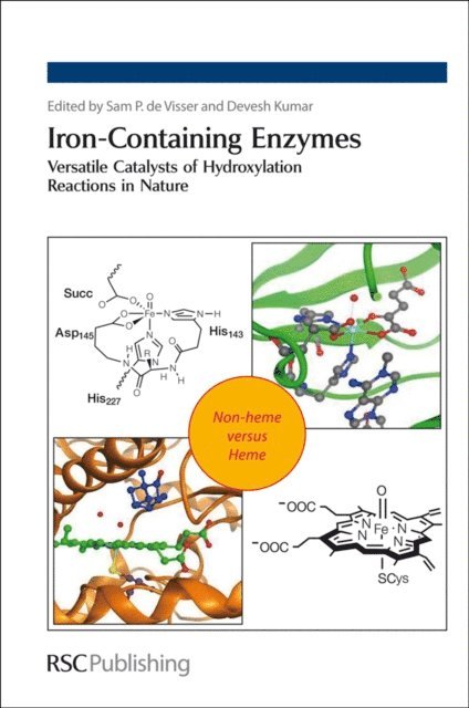 Devesh Kumar, Samuel P de Visser - Iron-Containing Enzymes, E-bok