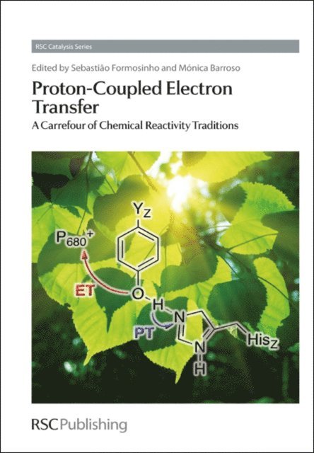 Monica Barroso, Sebastiao Formosinho - Proton-Coupled Electron Transfer, E-bok