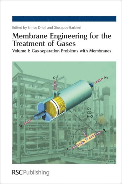 Giuseppe Barbieri, Enrico Drioli - Membrane Engineering for the Treatment of Gases, E-bok