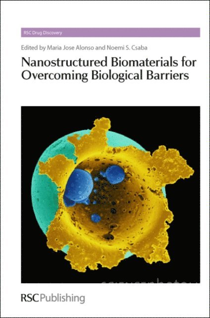 Noemi S. Csaba, Maria Jose Alonso - Nanostructured Biomaterials for Overcoming Biological Barriers, E-bok