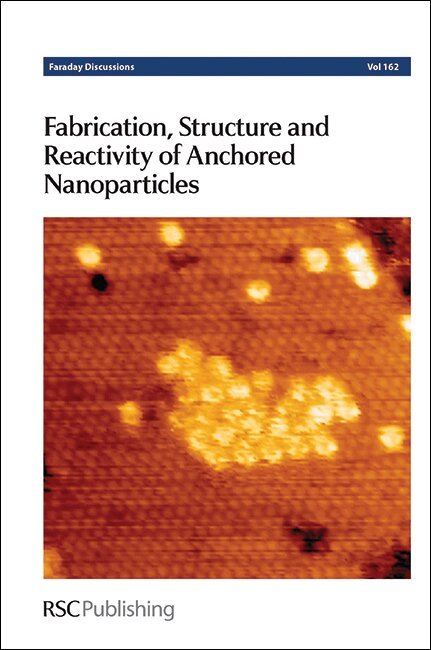 Fabrication, Structure and Reactivity of Anchored Nanoparticles, Inbunden