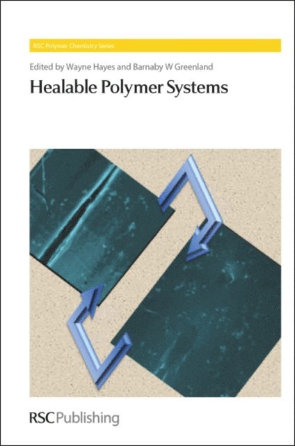 Barnaby W Greenland, Wayne Hayes - Healable Polymer Systems, E-bok