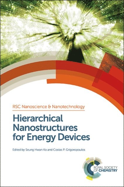 Costas P Grigoropoulos, Seung H Ko - Hierarchical Nanostructures for Energy Devices, E-bok