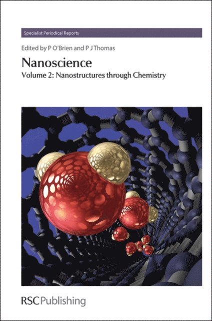 P John Thomas, Paul O'Brien - Nanoscience, E-bok