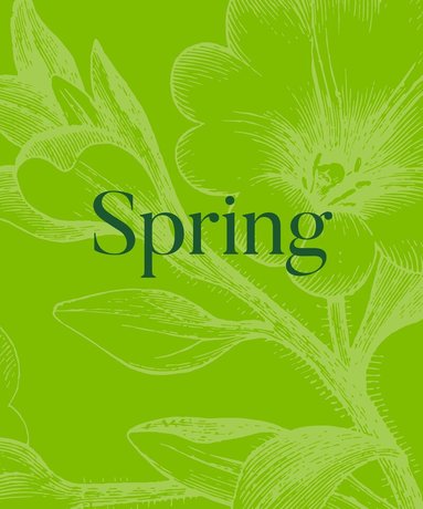 David Trigg - Spring, Inbunden