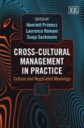Cross-Cultural Management in Practice