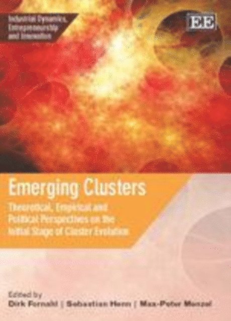 Max-Peter Menzel, Sebastian Henn, Dirk Fornahl - Emerging Clusters, E-bok