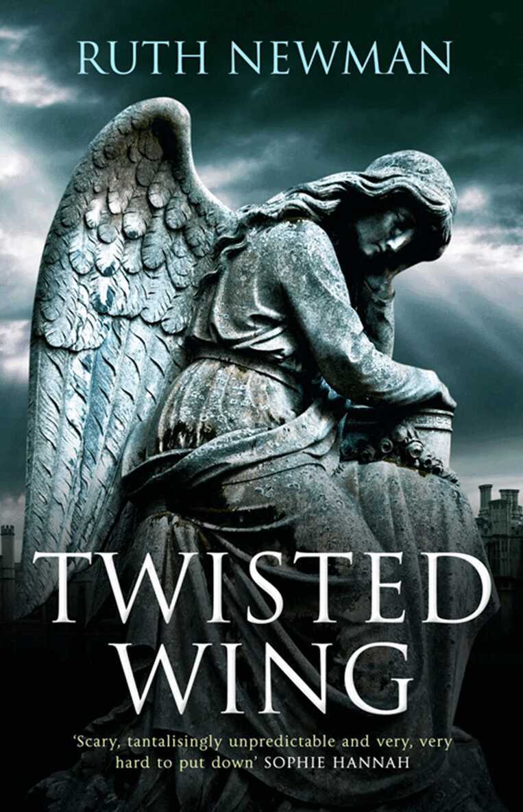 Ruth Newman - Twisted Wing, E-bok