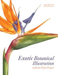 Exotic Botanical Illustration