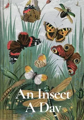 Dominic Couzens, Gail Ashton - Insect A Day, Inbunden