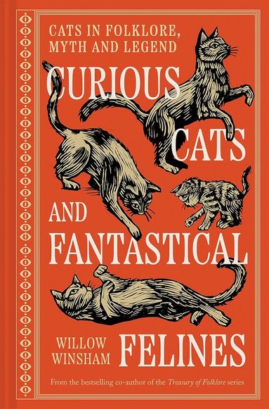 Curious Cats and Fantastical Felines