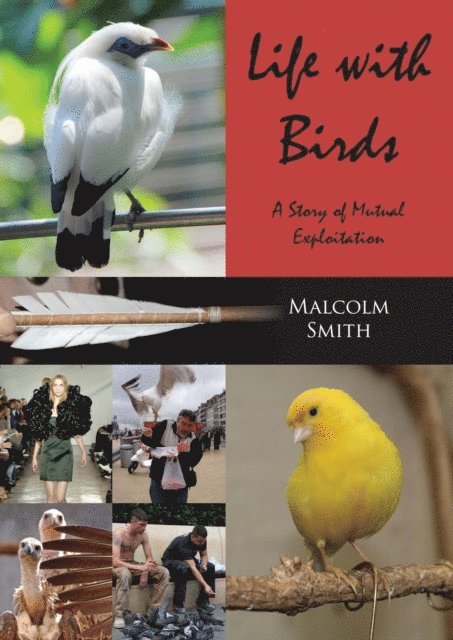 Malcolm Smith - Life with Birds, E-bok
