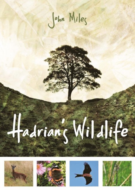 John Miles - Hadrian's Wildlife, E-bok