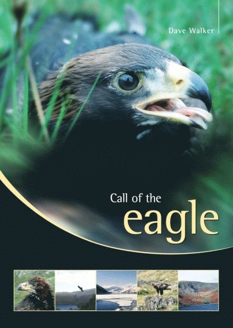 Dave Walker - Call of the Eagle, E-bok