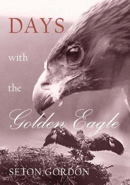 Jim Crumley, Paul Seton Gordon - Days with the Golden Eagle, E-bok