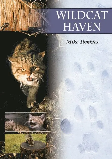 Mike Tomkies - Wildcat Haven, E-bok. Tillgänglighet: Lägg i varukorg
