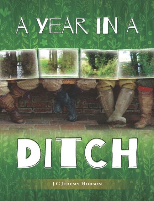 J. C. Jeremy Hobson - Year in a Ditch, E-bok
