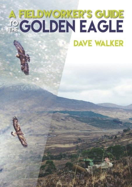 Dave Walker - Fieldworker's Guide to the Golden Eagle, E-bok
