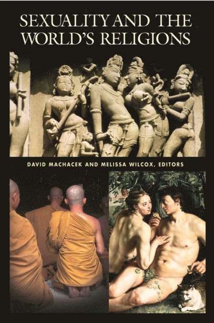 David Wayne Machacek, Melissa M. Wilcox - Sexuality and the World's Religions, E-bok