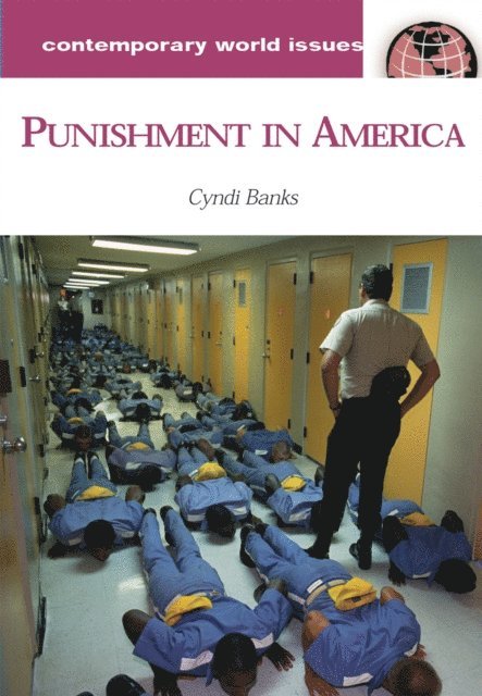 Cyndi Banks - Punishment in America, E-bok