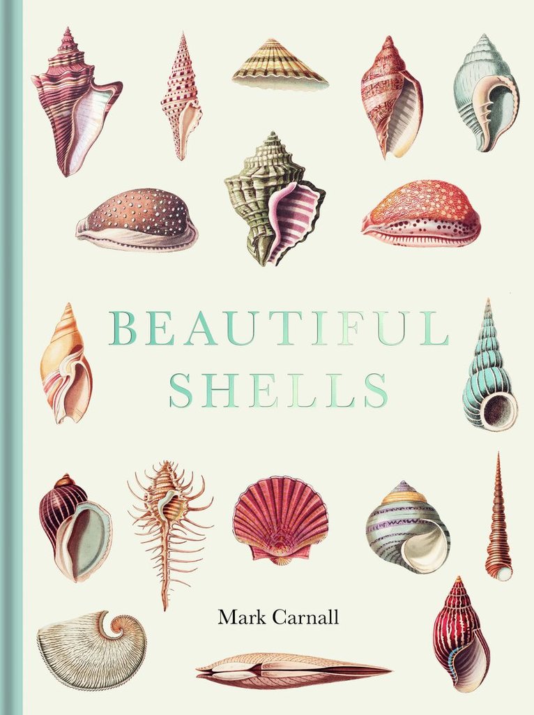 Mark Carnall - Beautiful Shells, Inbunden