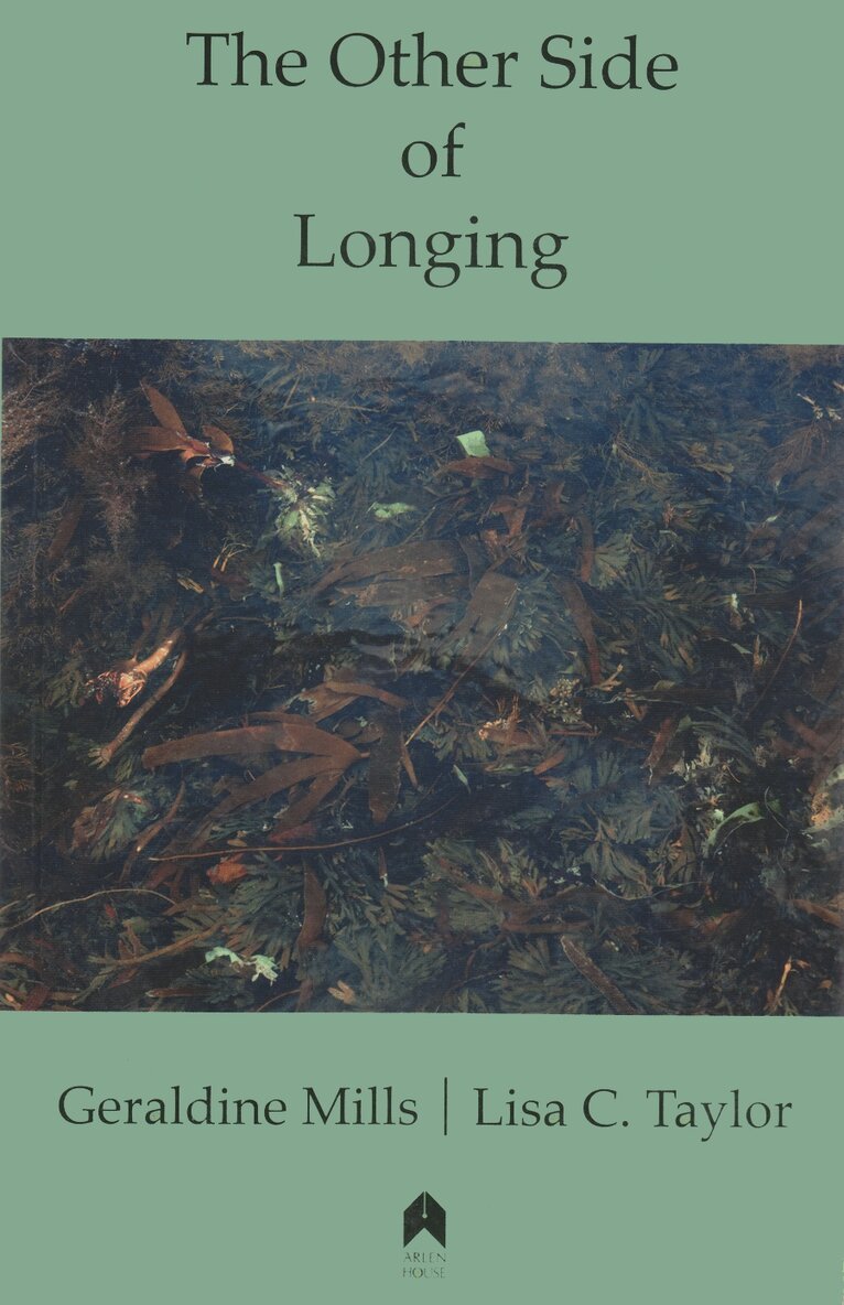 Geraldine Mills, Lisa C. Taylor - Other Side of Longing, Häftad. Tillgänglighet: Tillfälligt slut