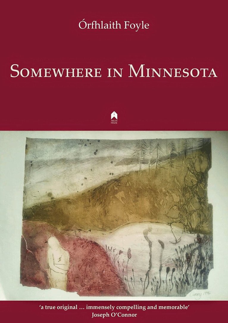 Orfhlaith Foyle - Somewhere in Minnesota, Häftad. Tillgänglighet: Lägg i varukorg