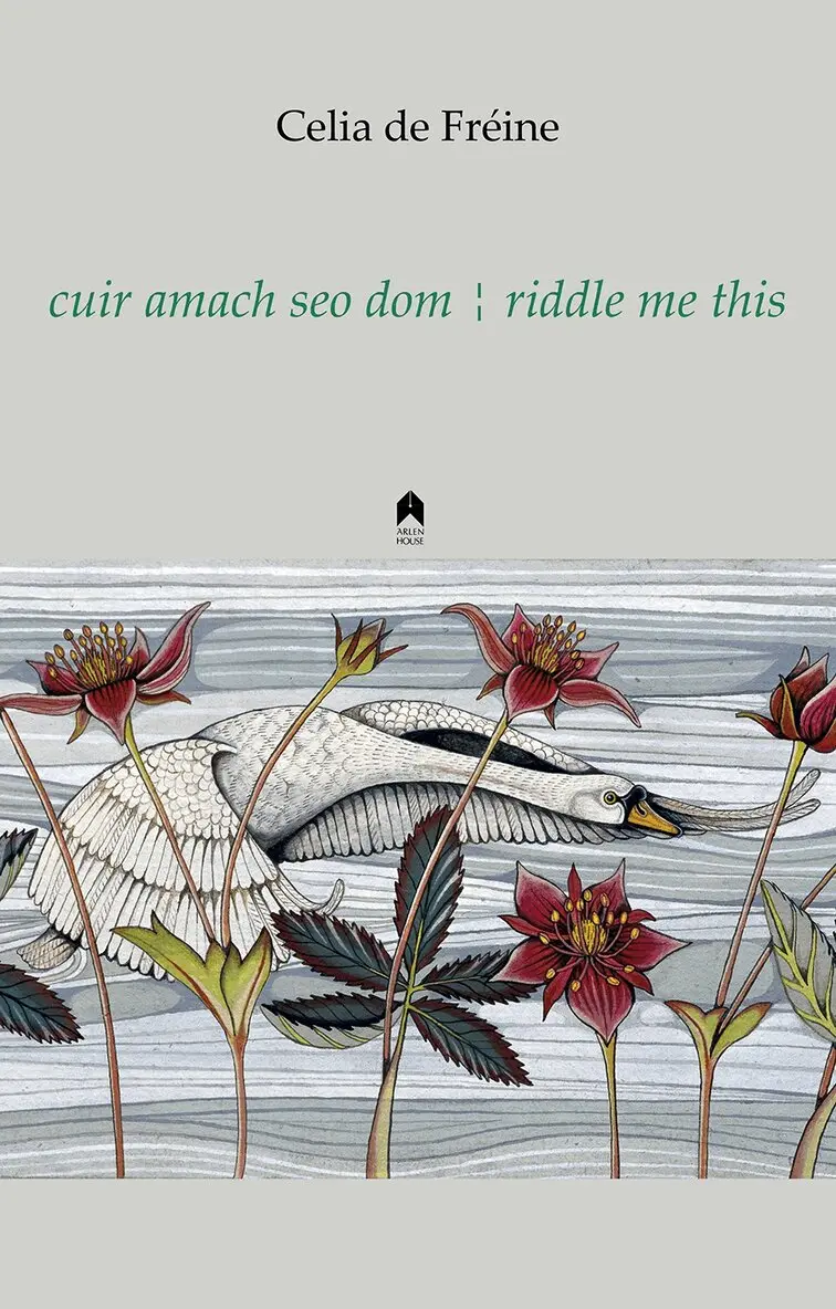 Celia de Fréine - Cuir Amach Seo Dom / Riddle Me This, Häftad. Tillgänglighet: Tillfälligt slut