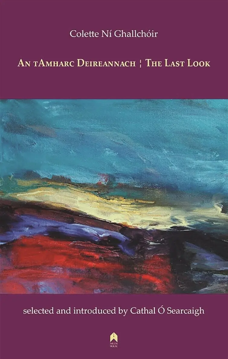 Colette Ní Ghallchóir - TAmharc Deireannach : the Last Look, Häftad. Tillgänglighet: Lägg i varukorg