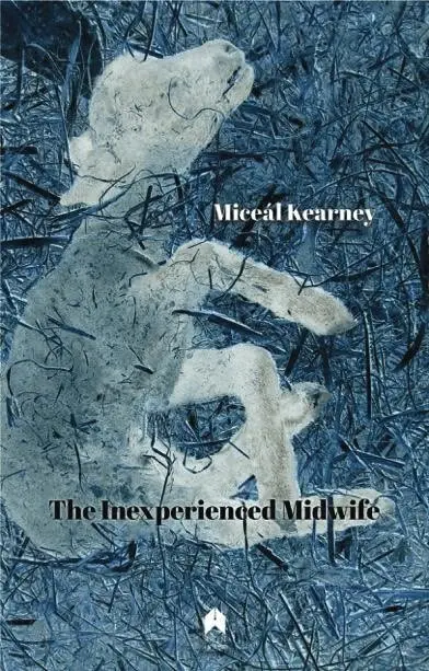 Miceál Kearney - Inexperienced Midwife, Häftad. Tillgänglighet: Lägg i varukorg