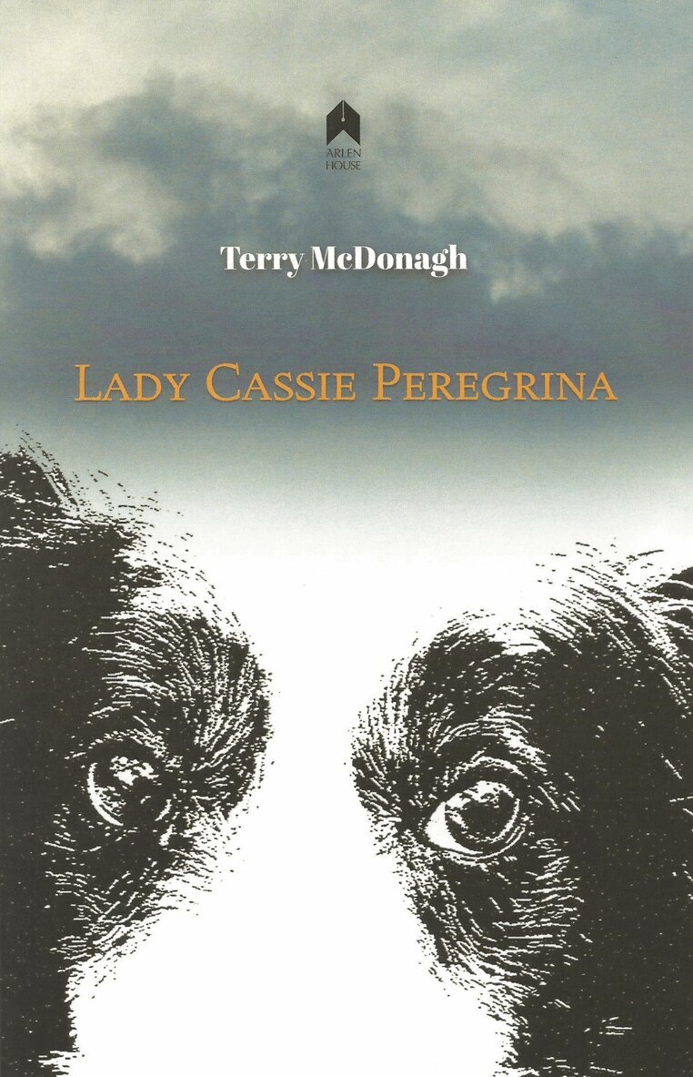 Terry McDonagh - Lady Cassie Peregrina, Häftad. Tillgänglighet: Tillfälligt slut