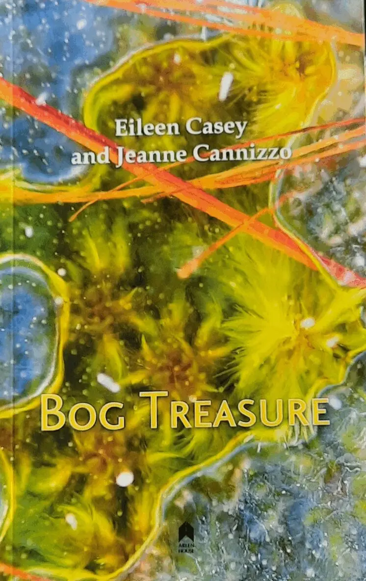 Eileen Casey, Jeanne Cannizzo - Bog Treasure, Häftad. Tillgänglighet: Tillfälligt slut