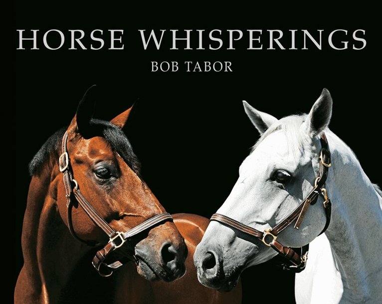 Bob Tabor - Horse Whisperings, Inbunden