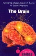 Brain